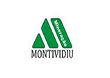 monte-vidiu